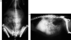 Fig 2.