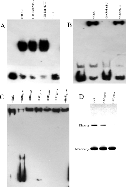 FIG. 5.