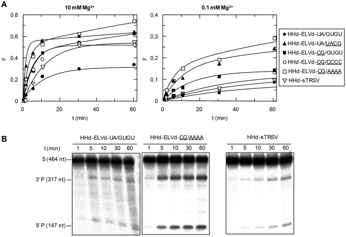 Figure 5.