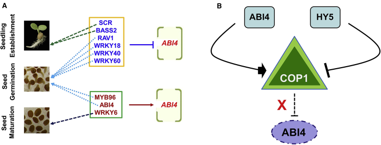 Figure 2