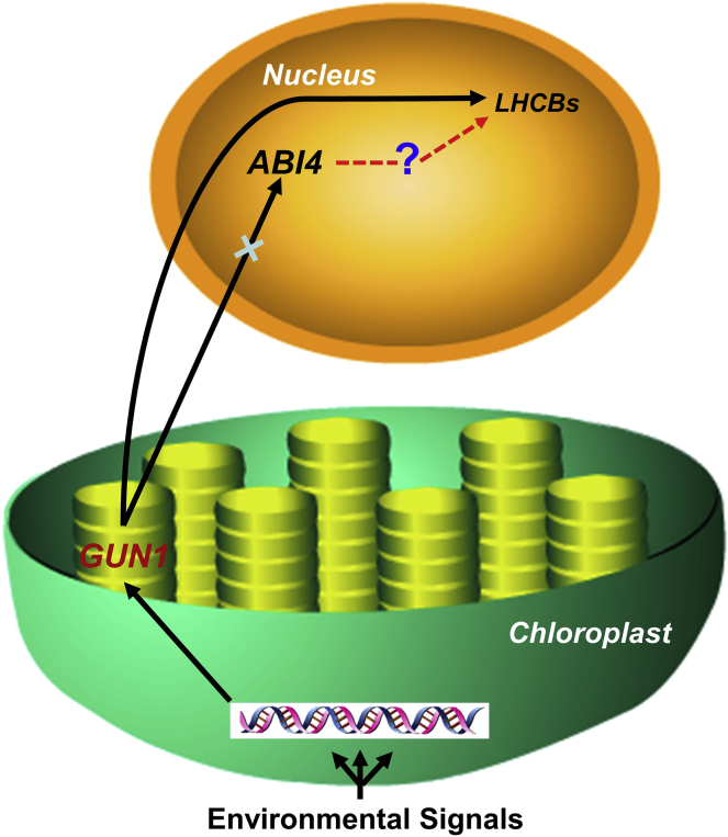 Figure 1