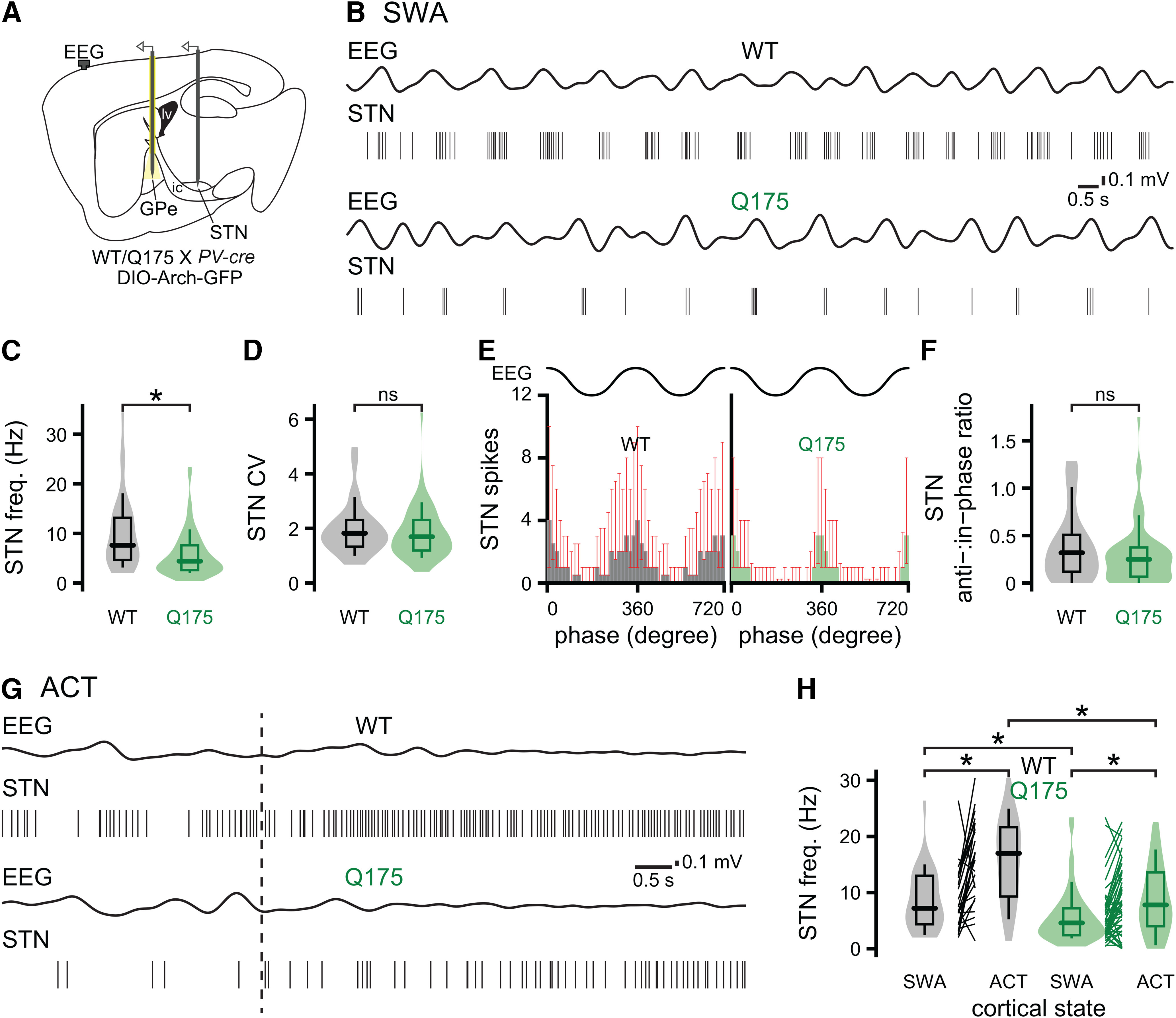 Figure 11.