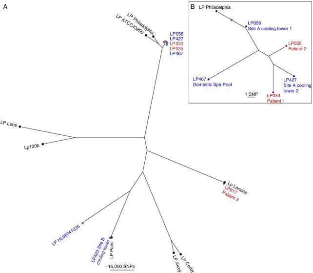 Figure 1