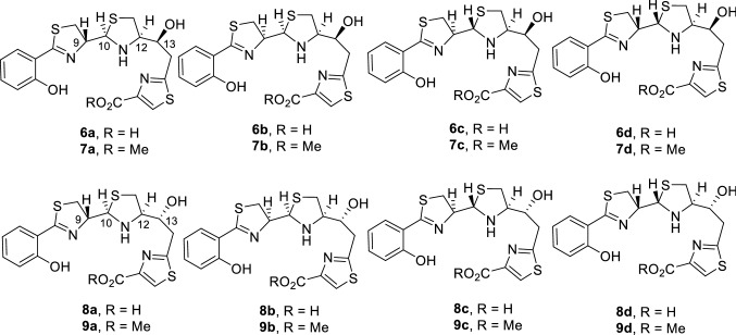 Fig. 5