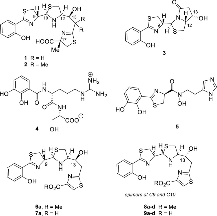 Fig. 1