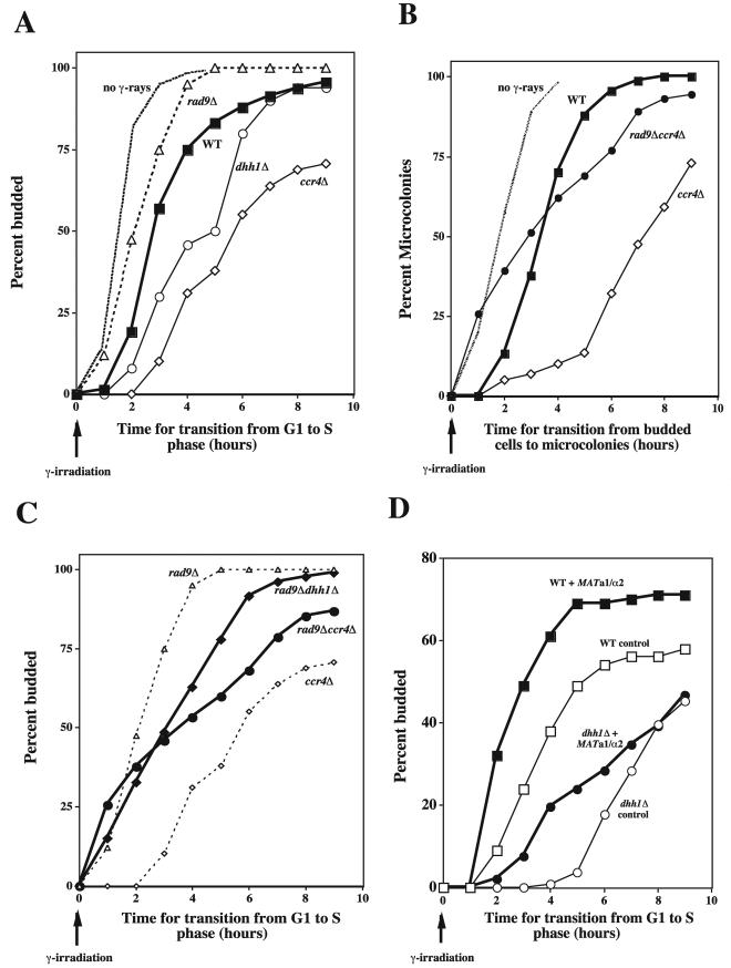 FIG.4.