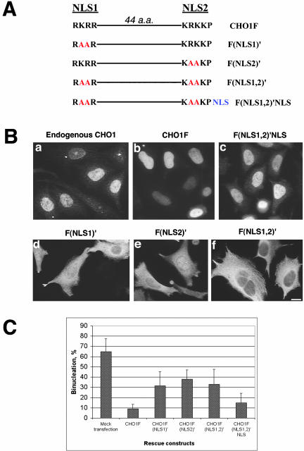 Figure 9.