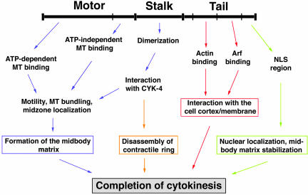 Figure 10.