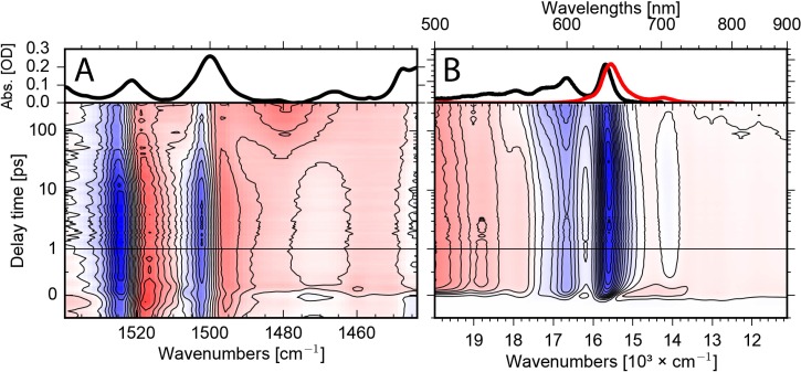 FIG. 2.