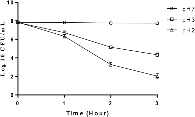 Figure 4