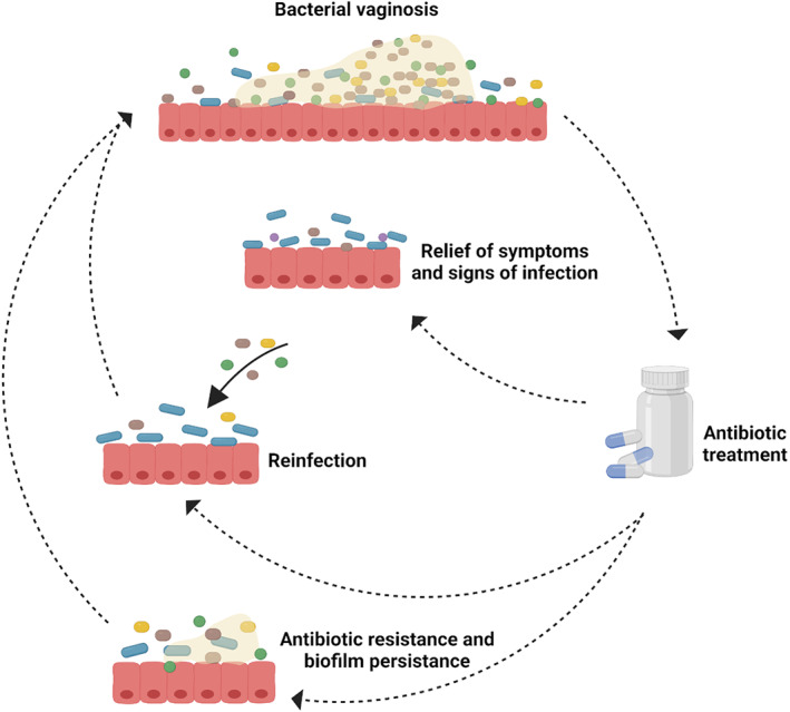 FIGURE 3