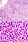 FIG. 2.