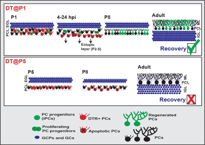 Figure 4—figure supplement 5.