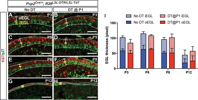 Figure 1—figure supplement 3.