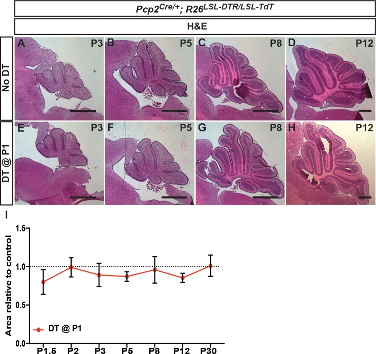 Figure 1—figure supplement 2.