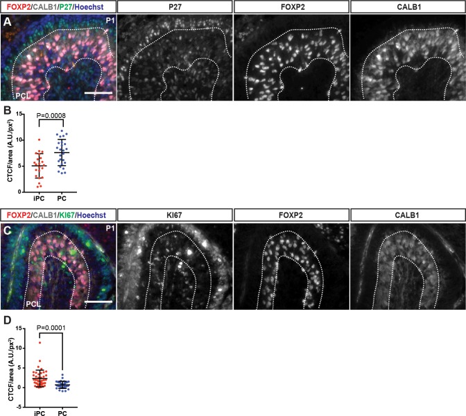 Figure 3—figure supplement 7.