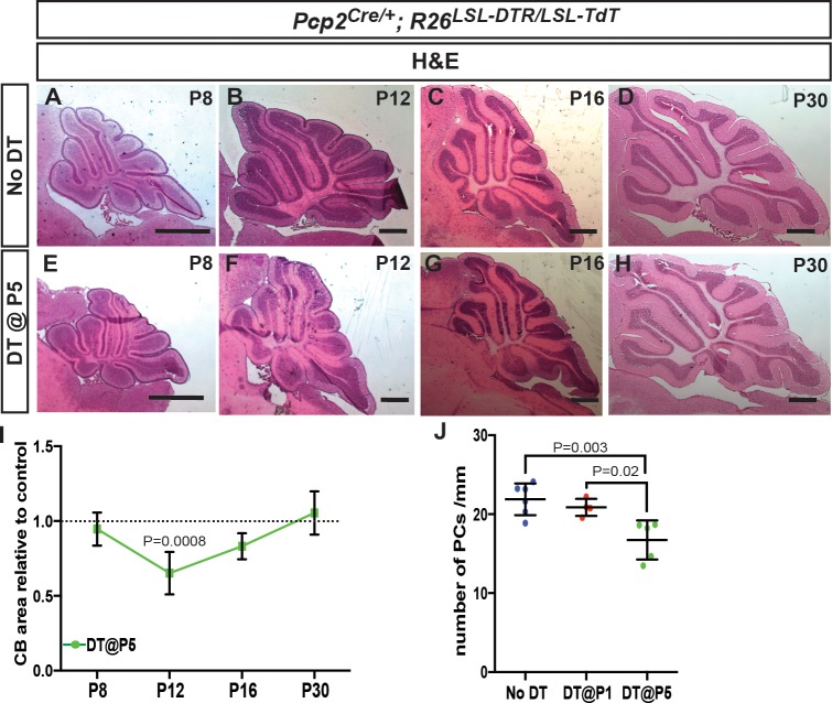 Figure 4—figure supplement 3.