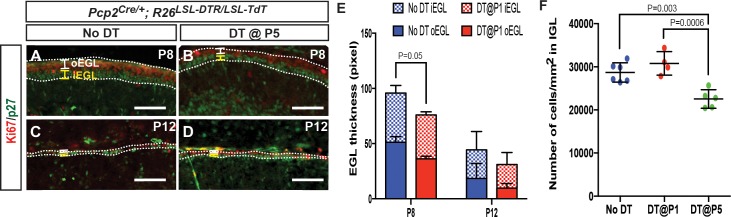 Figure 4—figure supplement 4.