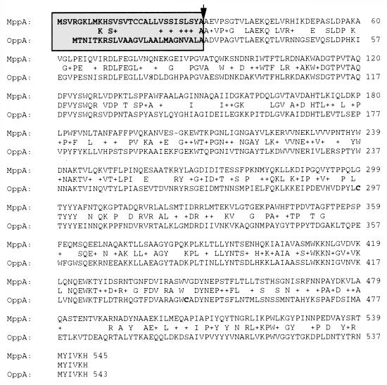 FIG. 1