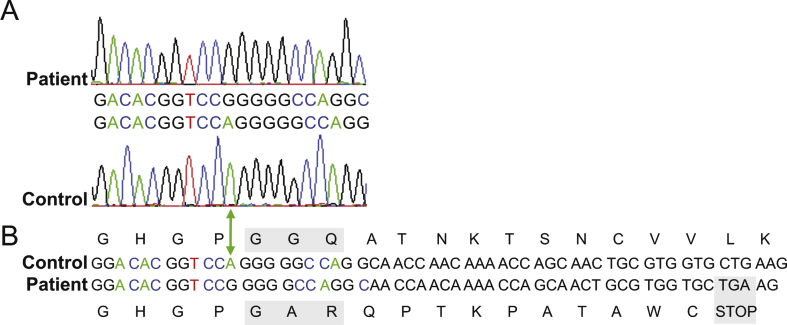 Fig.3