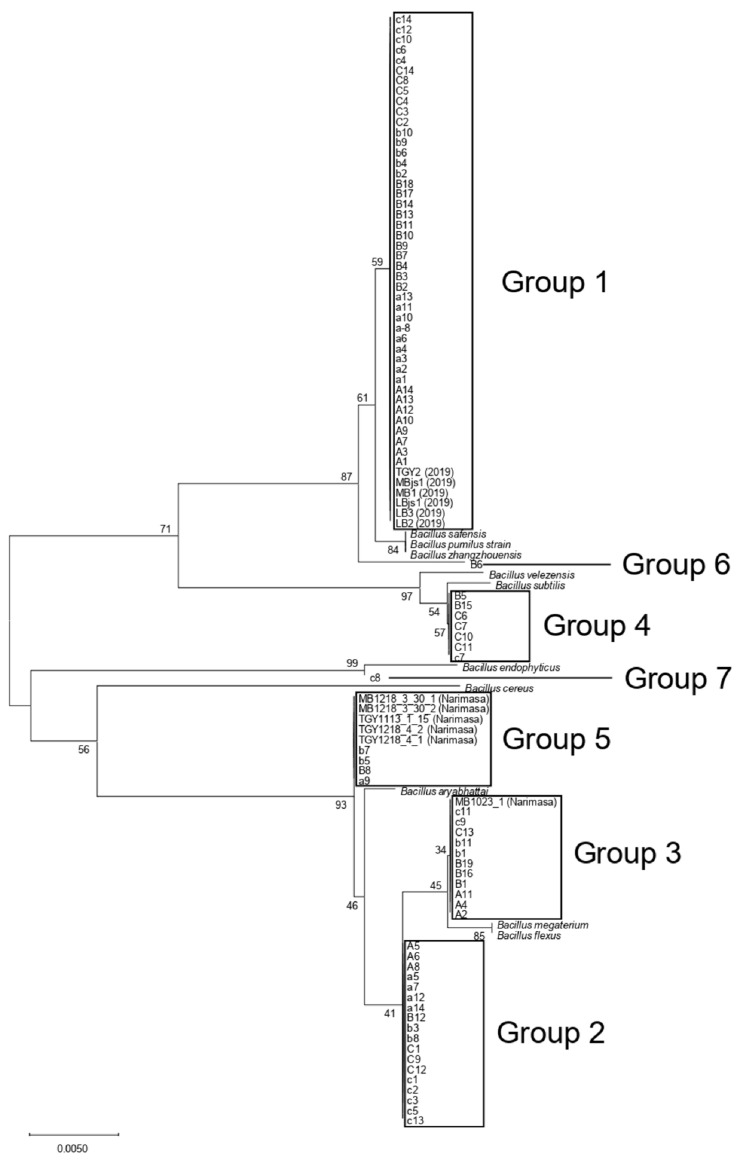 Figure 2