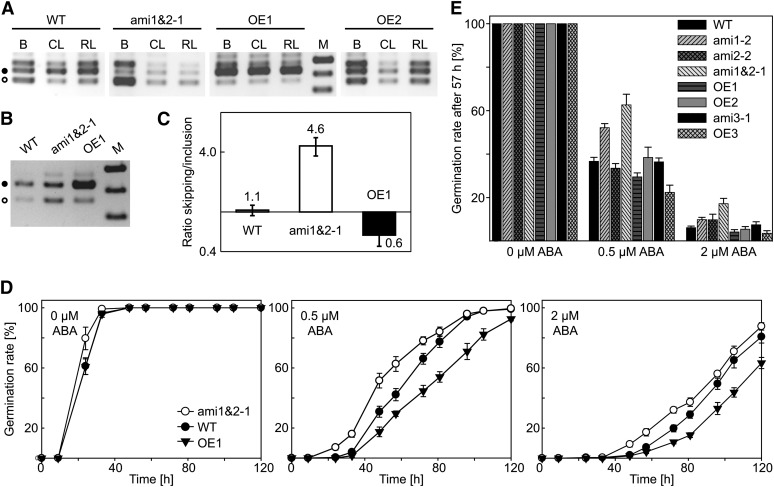 Figure 6.