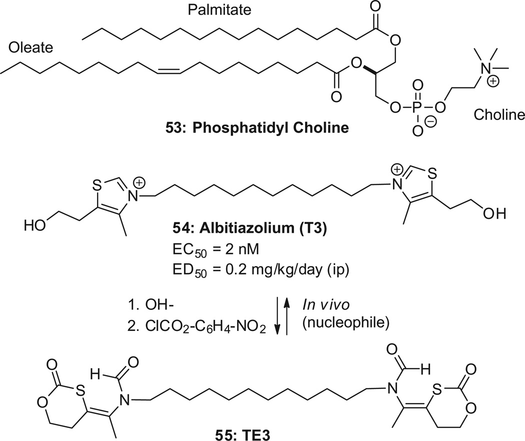 Scheme 16