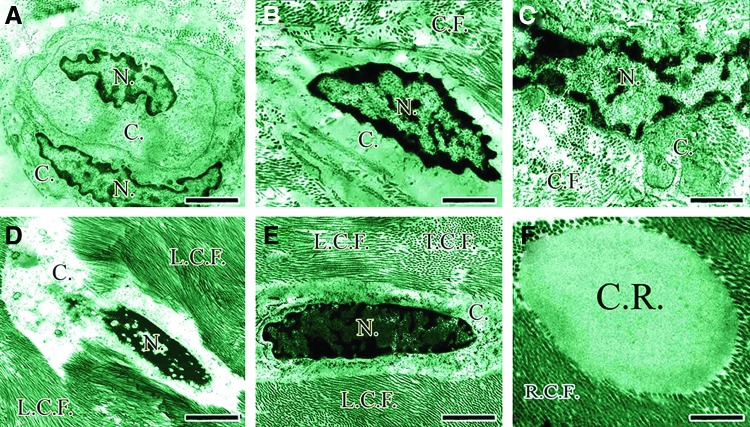 FIG. 9.