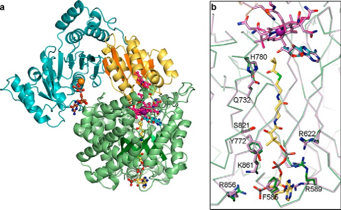 FIGURE 3.