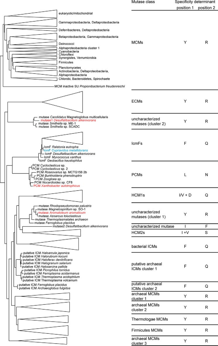 FIGURE 9.