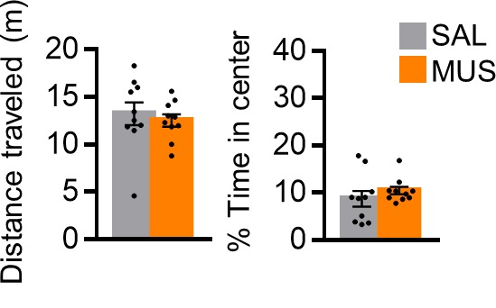 Figure 1—figure supplement 1.