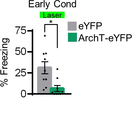 Figure 2—figure supplement 1.