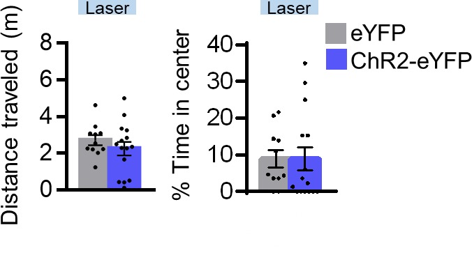 Figure 5—figure supplement 1.