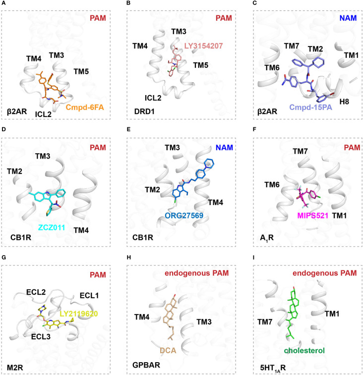 Figure 2