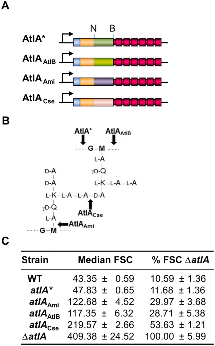 Fig 5