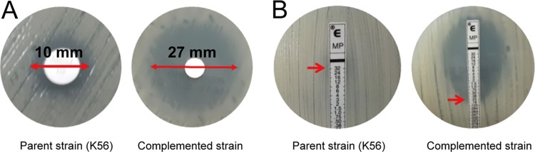 FIG 4