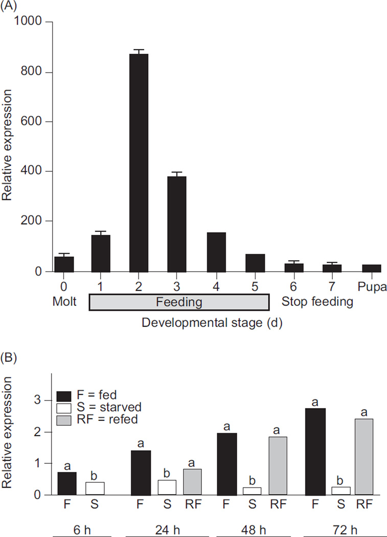 Figure 18