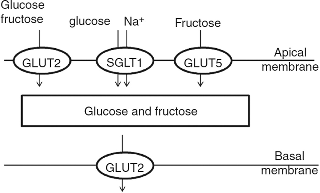 Figure 9