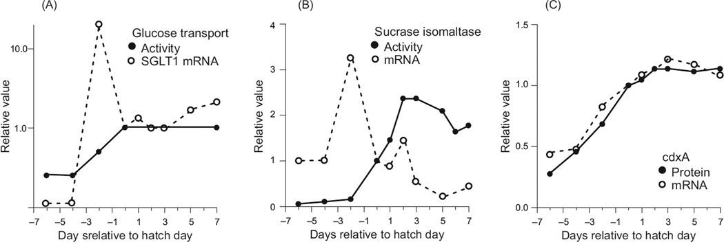 Figure 17