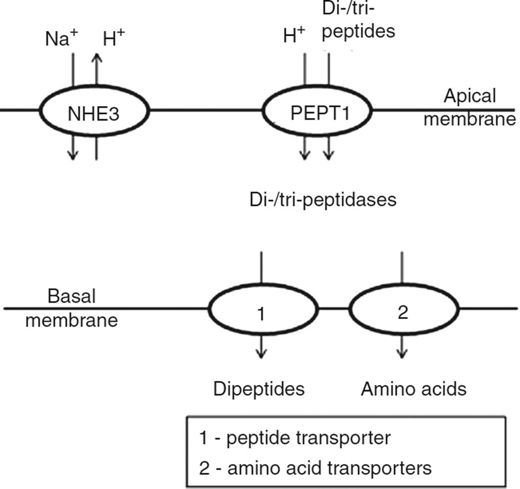 Figure 10