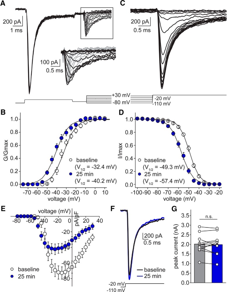 Figure 8.