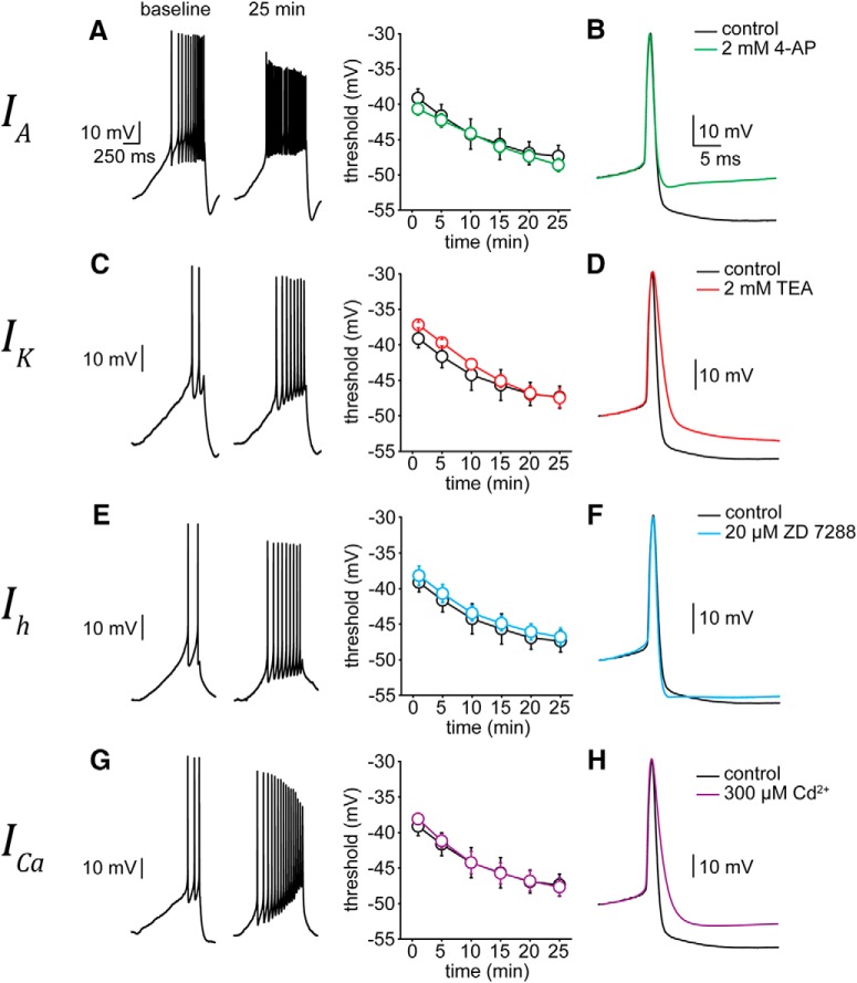 Figure 9.