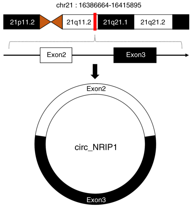 Figure 1.