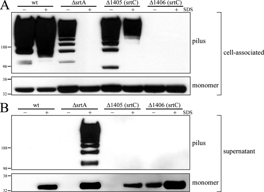 FIG. 7.