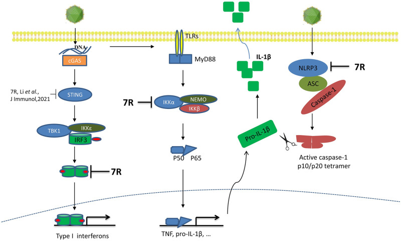 Fig 11