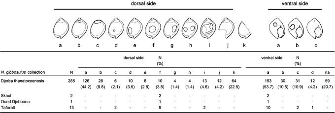 Fig. 5.