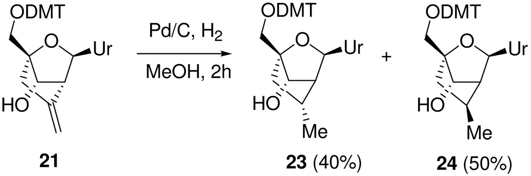 Scheme 2