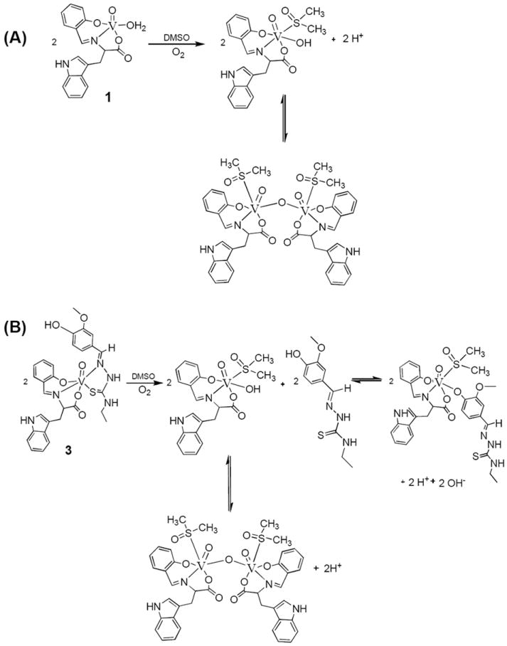 Scheme 2