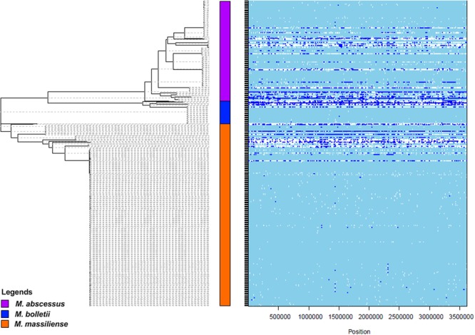 FIGURE 3