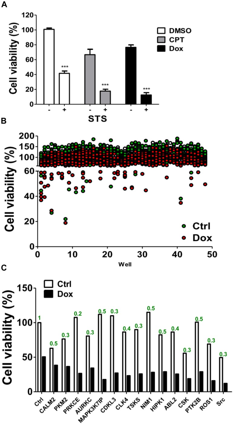 FIGURE 1